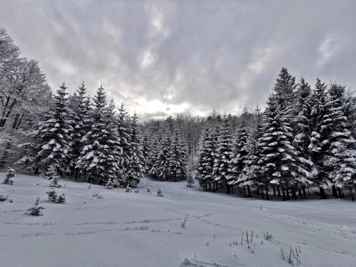 Great Mountain B&B Platak Экстерьер фото