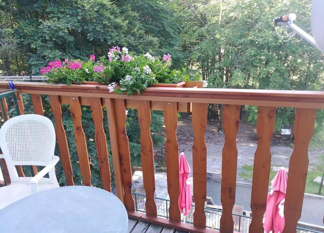 Great Mountain B&B Platak Экстерьер фото